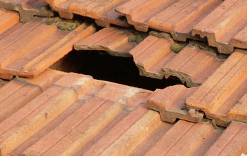roof repair Reagill, Cumbria